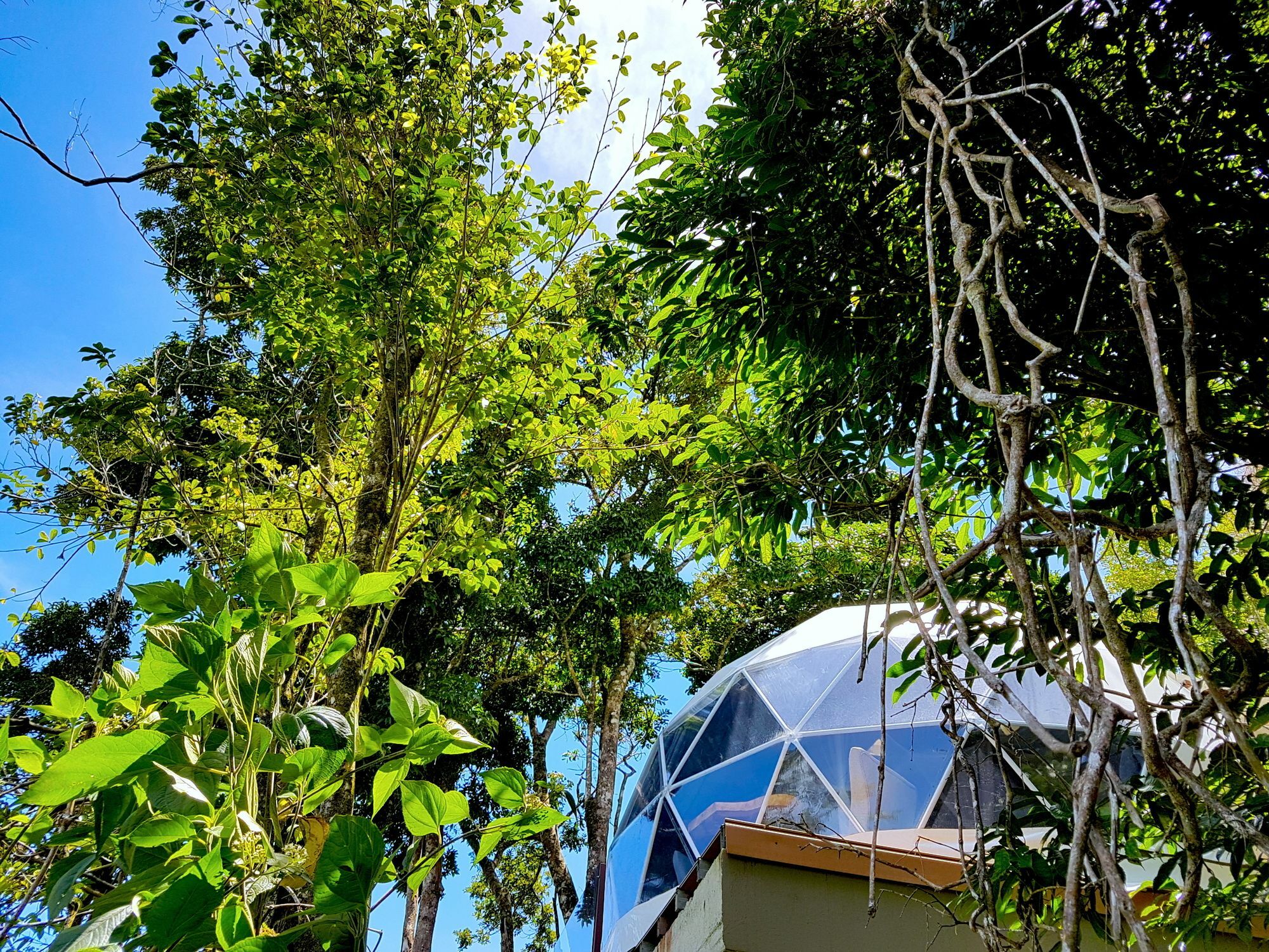 Chira Glamping Resort Monteverde Hotel